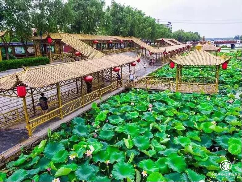 西海岸新区海青镇创新攻坚支部的探索和实践