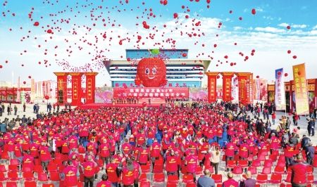 山西临猗举办果品盛会助力农业对外开放