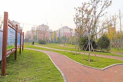 郭店街道：“表里兼修”提升城市品质