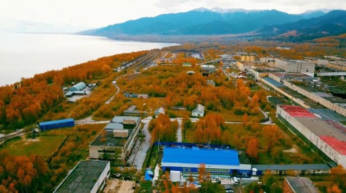 布局俄罗斯健康产业 西伯利亚白桦茸助力健康老龄化 