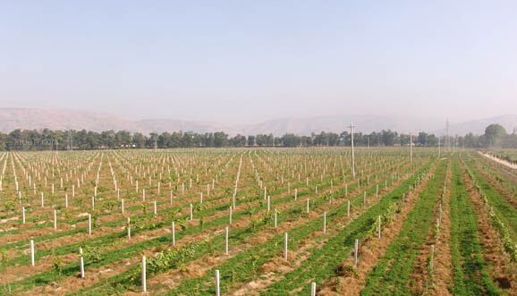 土地松绑吗、红线还要吗、风险怎么防——土地审批“放权”三问