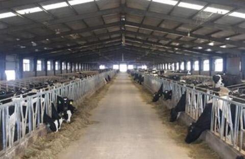 “四个一”叩响林甸产业扶贫大门 村民走上致富路