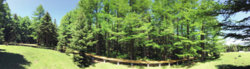 山西倾力打造“一圈两山十二集群”森林康养产业