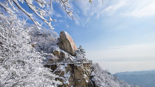 茫茫林海银装素裹沂蒙山迎来今冬首场降雪