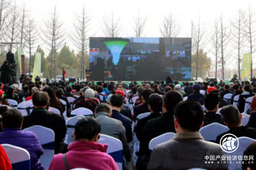 银杏之约 融合发展 2019第七届中国（郯城）银杏节开幕