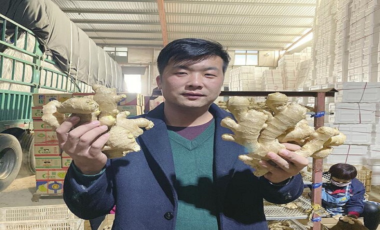 拼多多改变的山东农民：“4个月销百万斤，我把山东大姜卖成爆款”