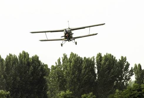 河南省晒出飞播造林成绩单：40年，成林389.12万亩