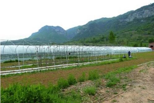 “多”与“少”之间的转换——湖北省推进绿色种养循环农业试点