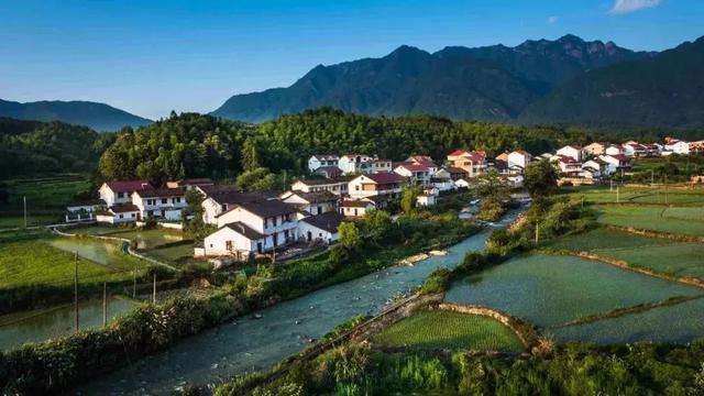 沂南岸堤镇：推进美丽乡村建设 打造乡村振兴的齐鲁样板