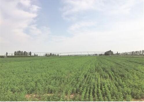 山西省立法促进雁门关农牧交错带发展