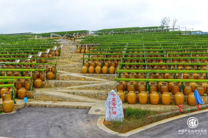 纷来携代言人深入郎酒原产地 探秘世界最大白酒庄园