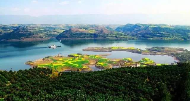 重庆将打造长江“两岸青山千里林带”