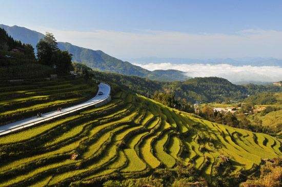 生态扶贫助力2000多万贫困人口脱贫增收