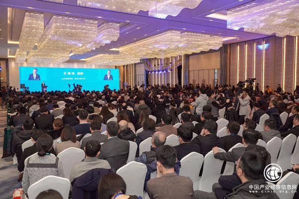 青岛正在成为独角兽茁壮成长的热带雨林