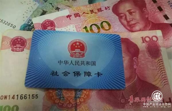 系统升级，青岛社保、医保等窗口和网上服务暂停