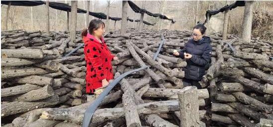 河南省南召县皇后乡：产业指导员为贫困户产业发展“护航”