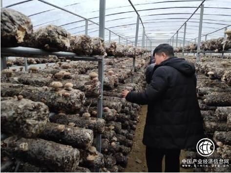 河南省南阳南召县马市坪乡：逐村观摩促脱贫 书记“比武”出成效