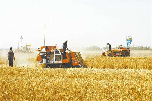 2023年湖北粮食生产喜获丰收