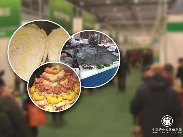 青岛市民有口福啦 本地养殖深海鱼已经上市！