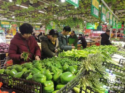 天气转凉菜价上涨 多种蔬菜上涨0.5元—2元