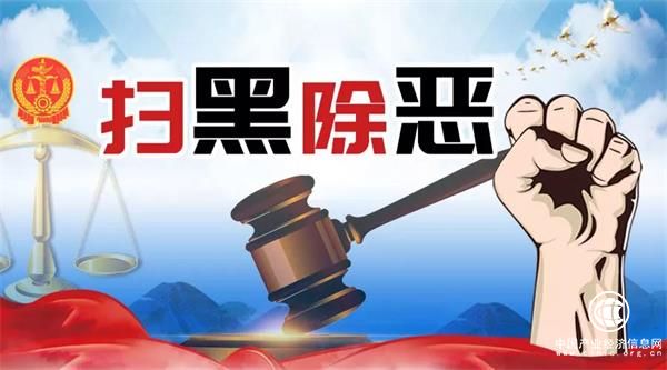 青岛法院集中公开宣判24起黑恶势力犯罪案件