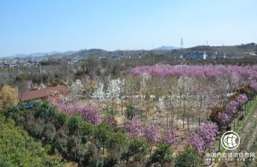 河南省南召县云阳镇：社会扶贫助力“拔穷根”