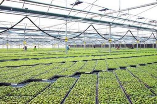 我国农业现代化良好格局逐步形成