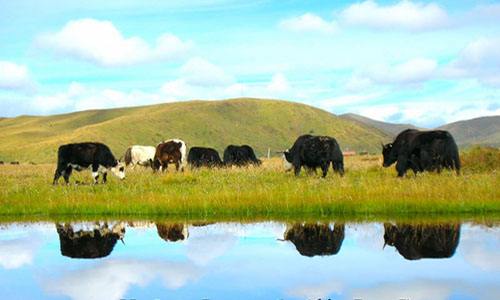 乡村旅游富民兴藏