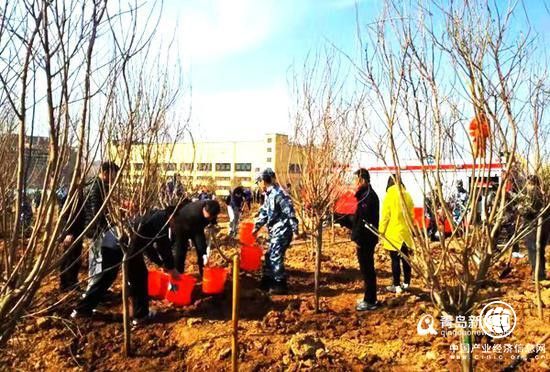 2020年青岛新目标 新造林6万亩 建28个口袋公园