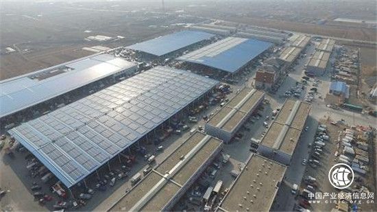 即墨：春节进口水果市场火爆 即墨进境水果突破一万标箱