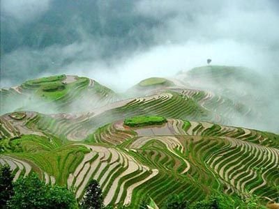 哈尼梯田旅游扶贫模式入选国际旅游减贫案例