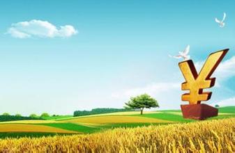 引导金融活水持续流进乡村