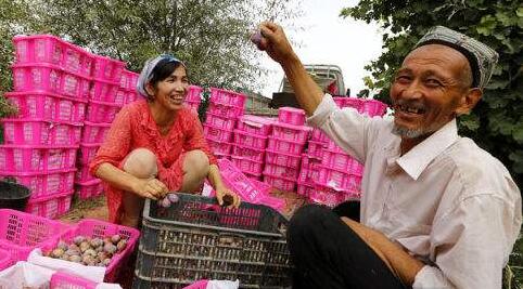 新疆多举措防止因疫返贫致贫