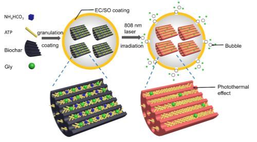 我国学者研制出智能调控的“植物护甲”