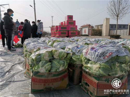 “脱贫后，村民干劲更足了”