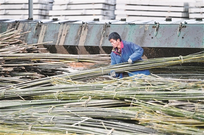 村里路宽了，人思路活泛了——粤桂扶贫协作助力贫困县发展
