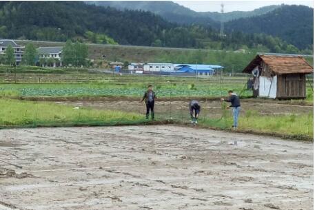 由南至北 四川春耕大幕开启