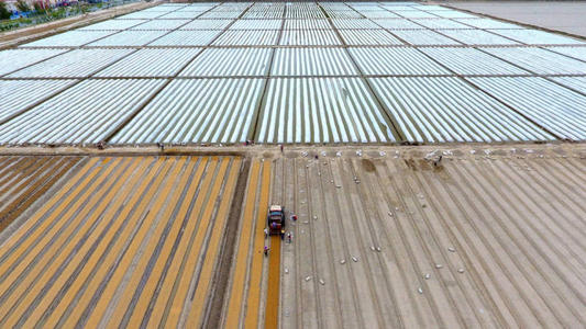 新疆:全区农资储备充足 基本满足春耕需要