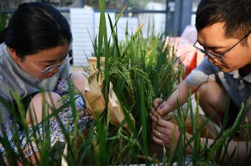 《国务院办公厅关于加强农业种质资源保护与利用的意见》解读