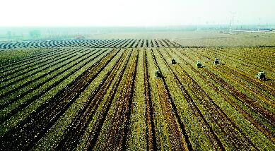 早行动 抢农时 抓生产 山西省安排部署春耕备耕工作