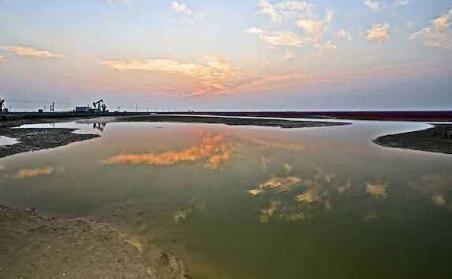 黄河三角洲应急生态补水近8800万立方米