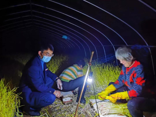 “疫”不容辞全市农商银行大力支持种养殖业复工复产