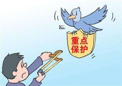 非法猎杀、出售野生动物？青岛检察机关对两案启动公益诉讼