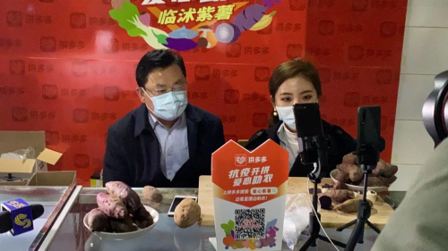 点赞！临沭县领导拼多多直播卖紫薯：20万人关注，售出8万斤，搬空10个地窖