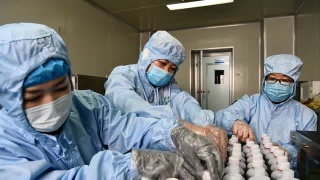 中医药抗疫：关口前移全程参与 一人一策对症施治