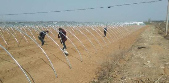 河南方城县小史店镇培育特色产业  助力脱贫攻坚