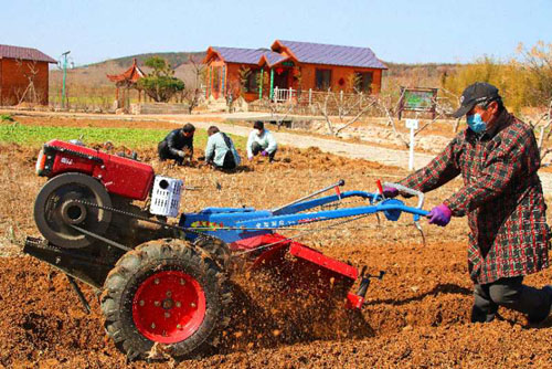 战疫情 忙春耕 山东莒南十字路街道春光好