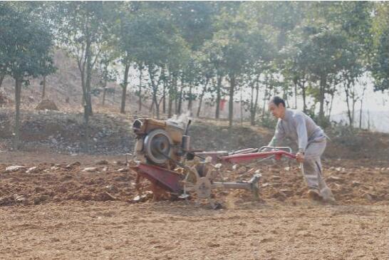 河南省南召县太山庙乡防疫和生产齐头并进