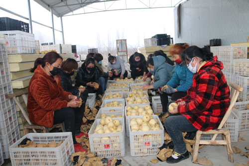 “向雷神山、火神山‘最可爱的人’送去一丝甘甜”
