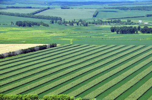 今年山西全省主推5大类40项农业生产技术